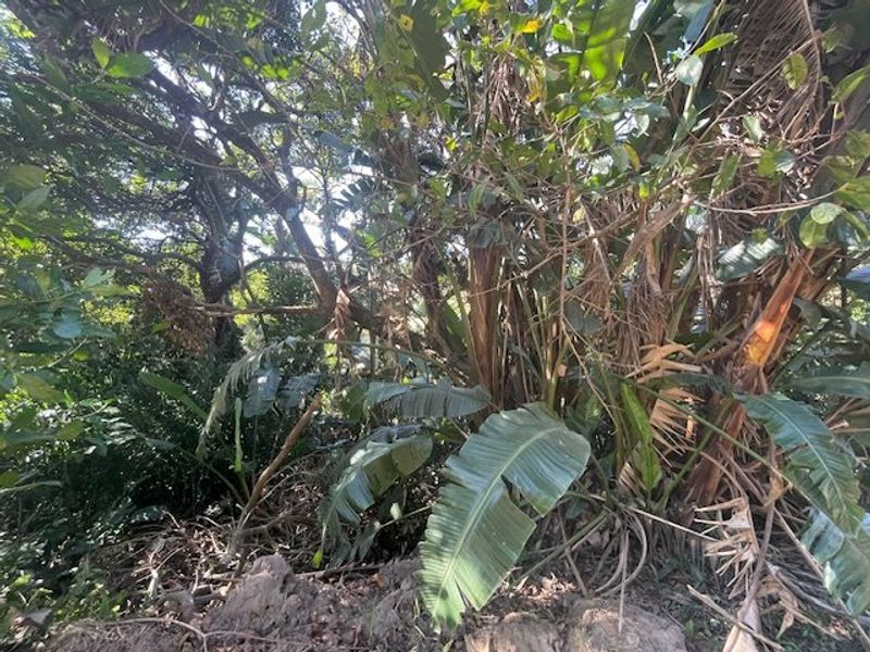 Vacant Land for Sale – Ramsgate Ext 3 – R1350sqm of Potential! - Photo 4