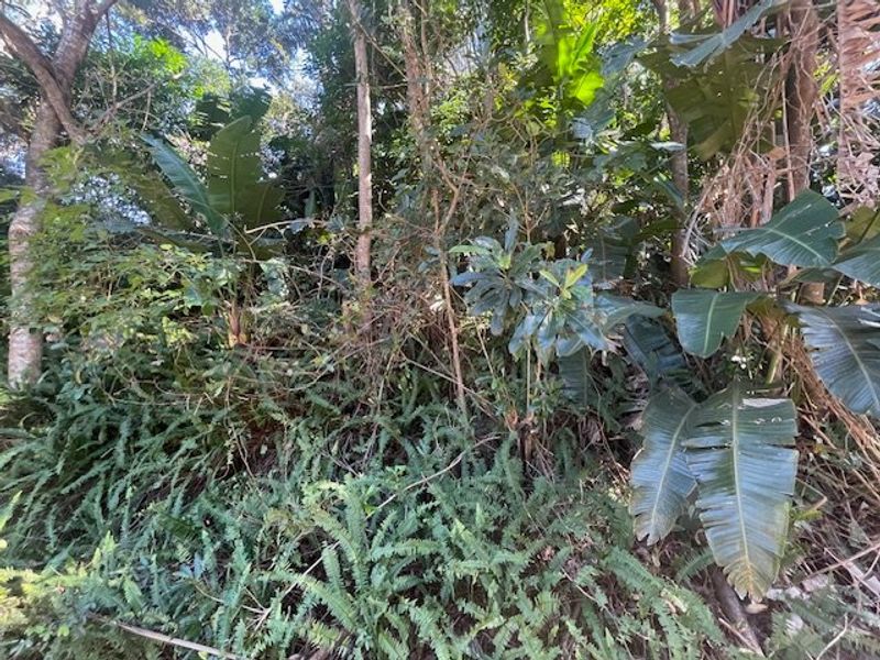 Vacant Land for Sale – Ramsgate Ext 3 – R1350sqm of Potential! - Photo 7