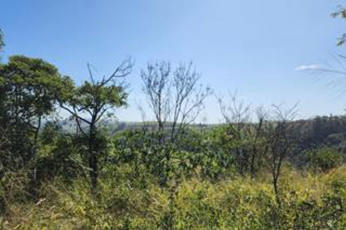 A scenic view of the natural landscape and surrounding vegetation on the vacant residential property.
