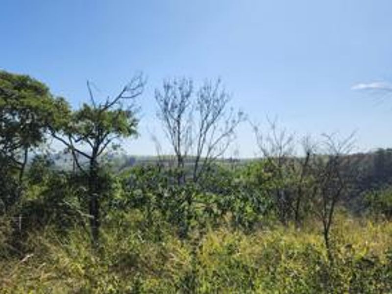 A scenic view of the natural landscape and surrounding vegetation on the vacant residential property.