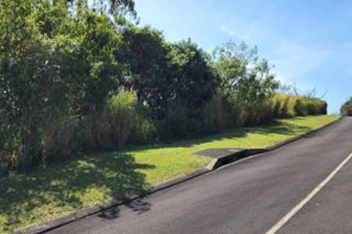A view of the asphalt street frontage, featuring a concrete curb, stormwater drainage, and a grass verge bordering the residential land.