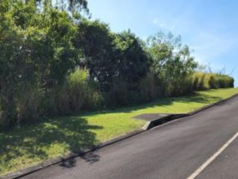 A view of the asphalt street frontage, featuring a concrete curb, stormwater drainage, and a grass verge bordering the residential land.