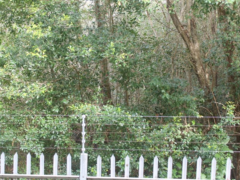 Tranquil Ground Floor Retreat – 2 Bedroom Apartment with Private Balcony - Photo 10