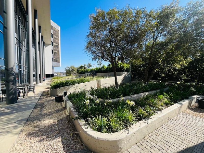 417 Sqm prime office space - Photo 4