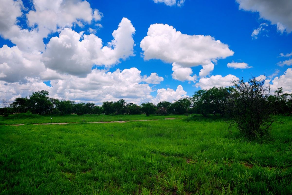 Vacant stand for sale in Bela Bela - Photo 3