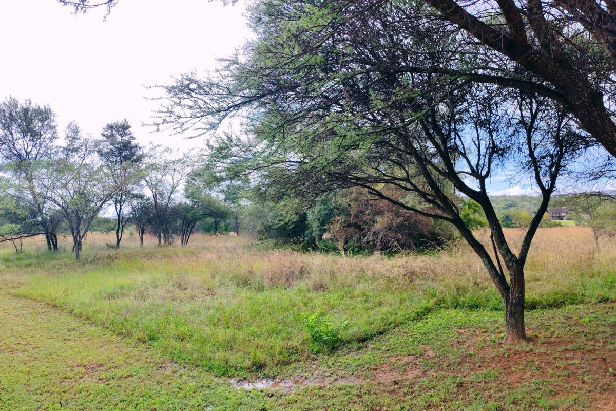Vacant stand for sale in Koro Creek,Modimolle - Photo 3