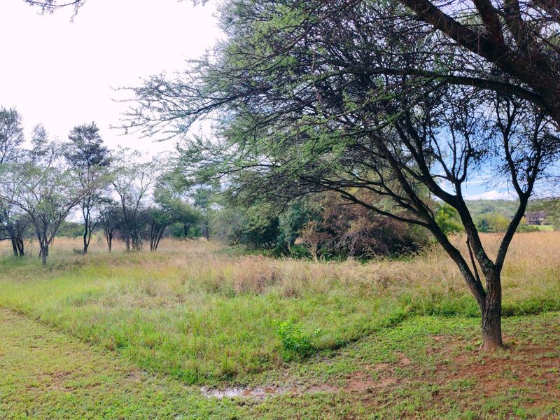 Vacant stand for sale in Koro Creek,Modimolle - Photo 3