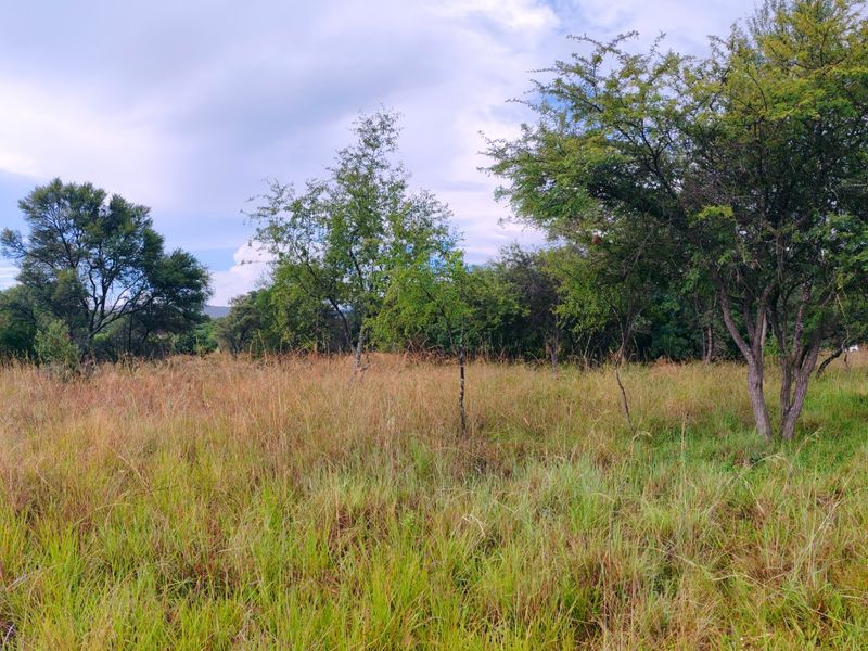 Vacant stand for sale in Koro Creek,Modimolle - Photo 6