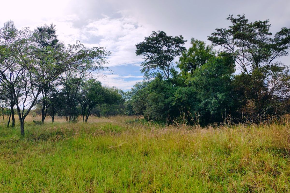 Vacant stand for sale in Koro Creek,Modimolle - Photo 4