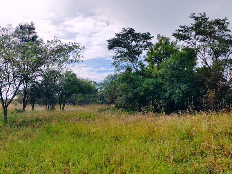 Vacant stand for sale in Koro Creek,Modimolle - Photo 4