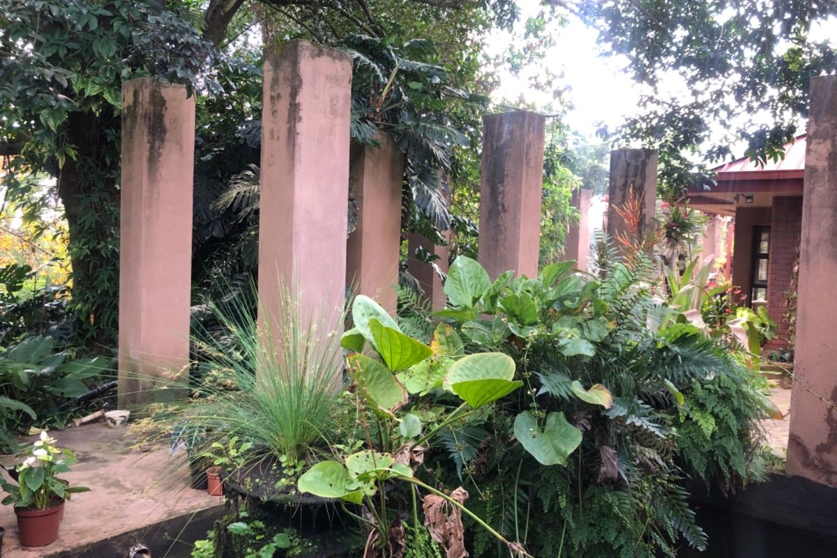 Have A Slice Of Heaven  - Photo 3