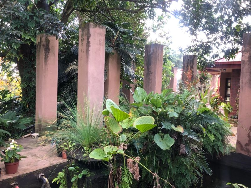 Have A Slice Of Heaven  - Photo 3