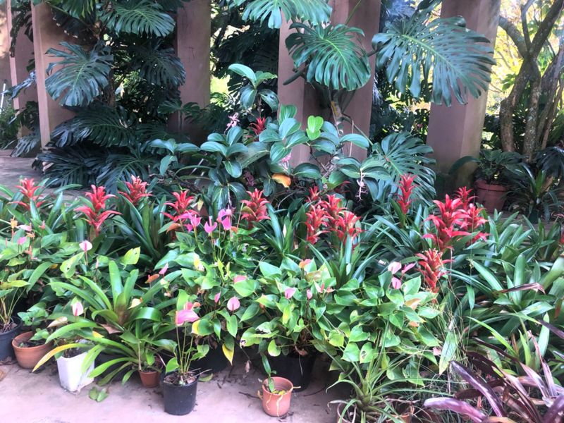 Have A Slice Of Heaven  - Photo 10