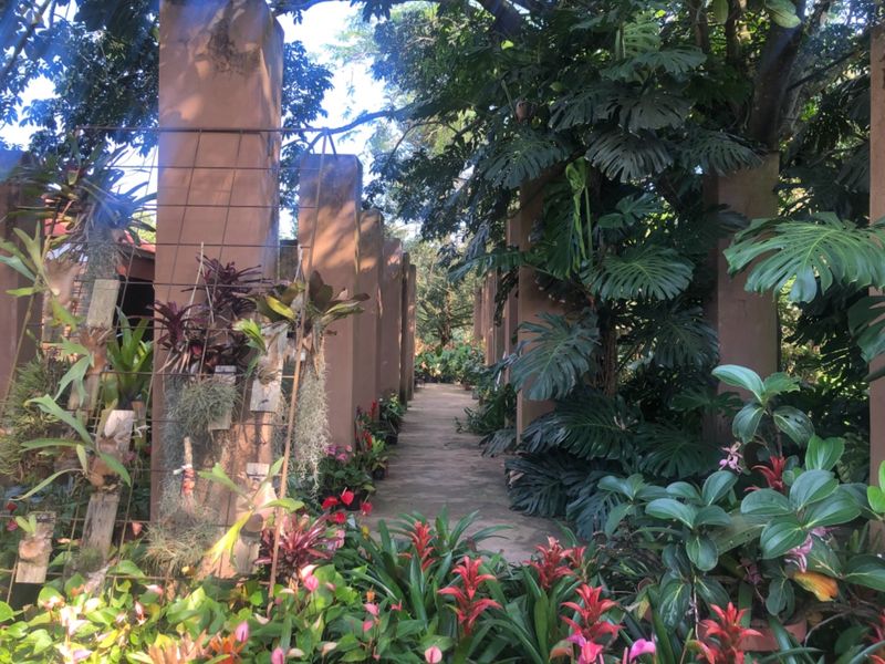 Have A Slice Of Heaven  - Photo 9