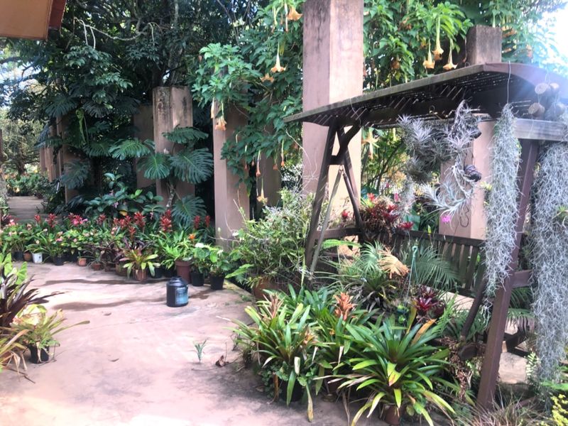 Have A Slice Of Heaven  - Photo 8