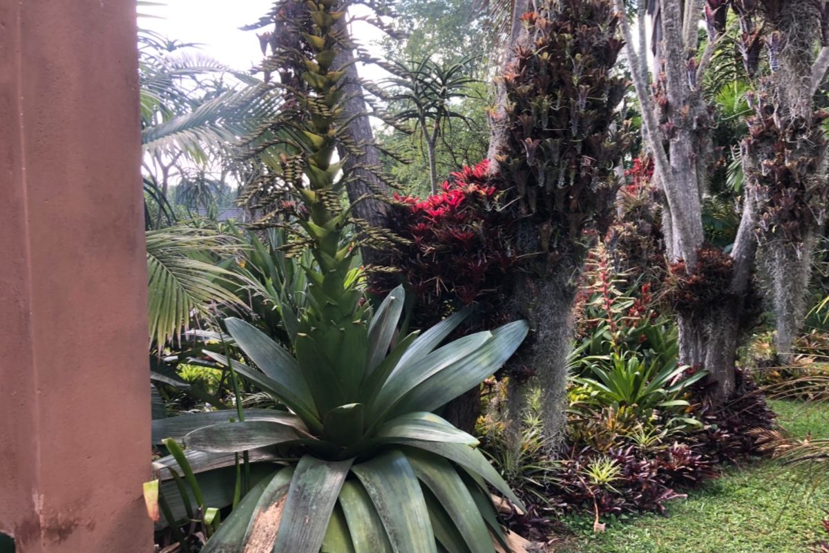 Have A Slice Of Heaven  - Photo 2