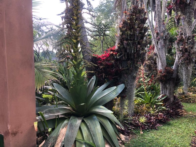 Have A Slice Of Heaven  - Photo 2