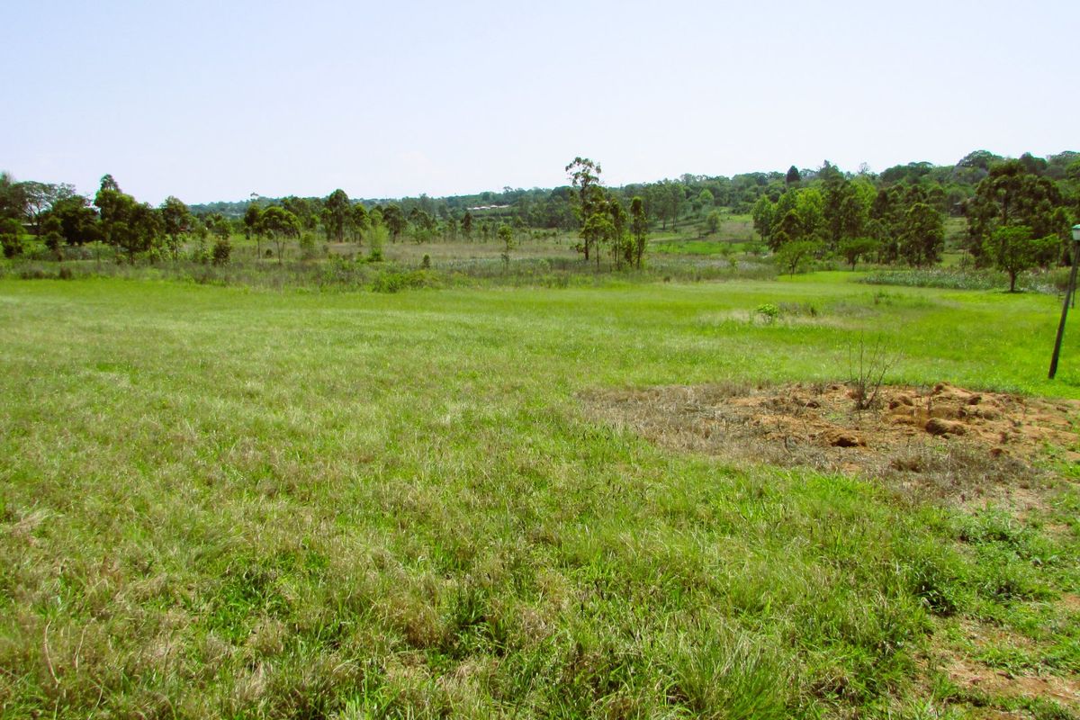 What a bargain!!  1.1 Hectare Stand for Sale in Secure Country Estate – White River - Photo 3