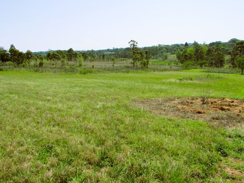 What a bargain!!  1.1 Hectare Stand for Sale in Secure Country Estate – White River - Photo 3