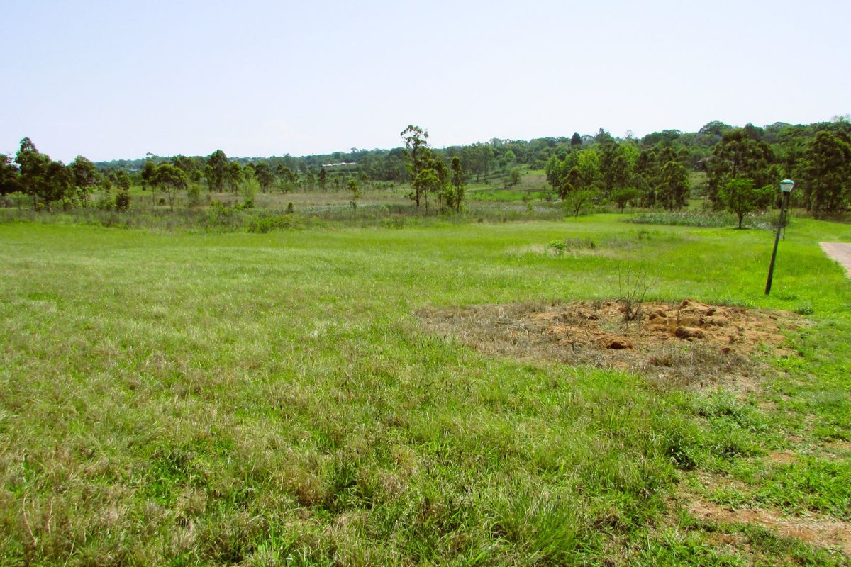 What a bargain!!  1.1 Hectare Stand for Sale in Secure Country Estate – White River - Photo 4