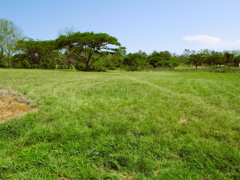 What a bargain!!  1.1 Hectare Stand for Sale in Secure Country Estate – White River - Photo 7