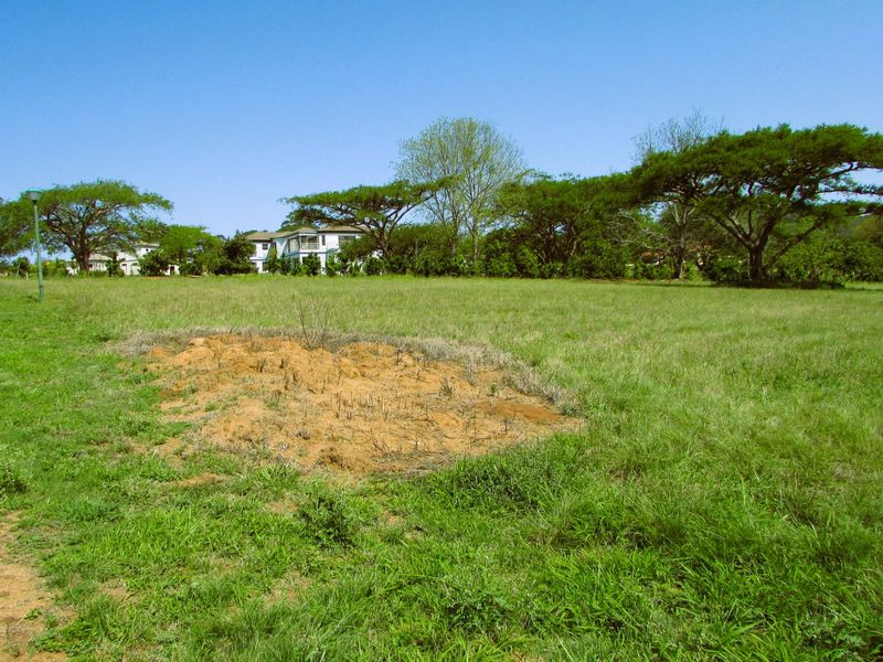 What a bargain!!  1.1 Hectare Stand for Sale in Secure Country Estate – White River - Photo 6