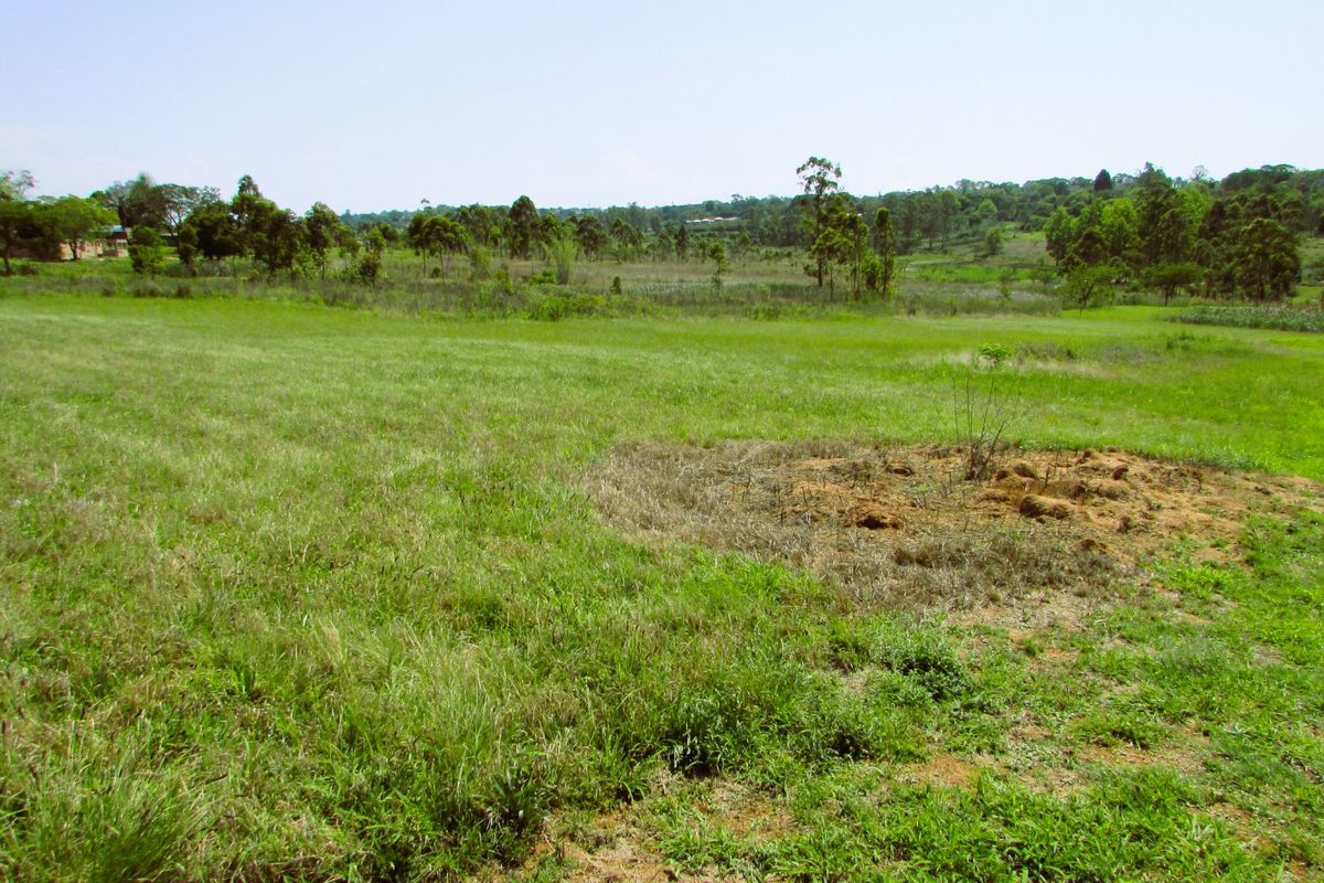 What a bargain!!  1.1 Hectare Stand for Sale in Secure Country Estate – White River - Photo 2