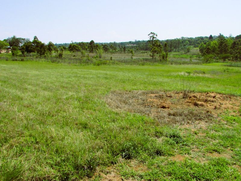 What a bargain!!  1.1 Hectare Stand for Sale in Secure Country Estate – White River - Photo 2