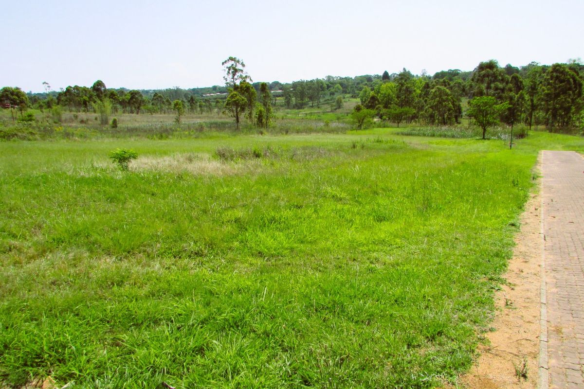 What a bargain!!  1.1 Hectare Stand for Sale in Secure Country Estate – White River - Photo 5