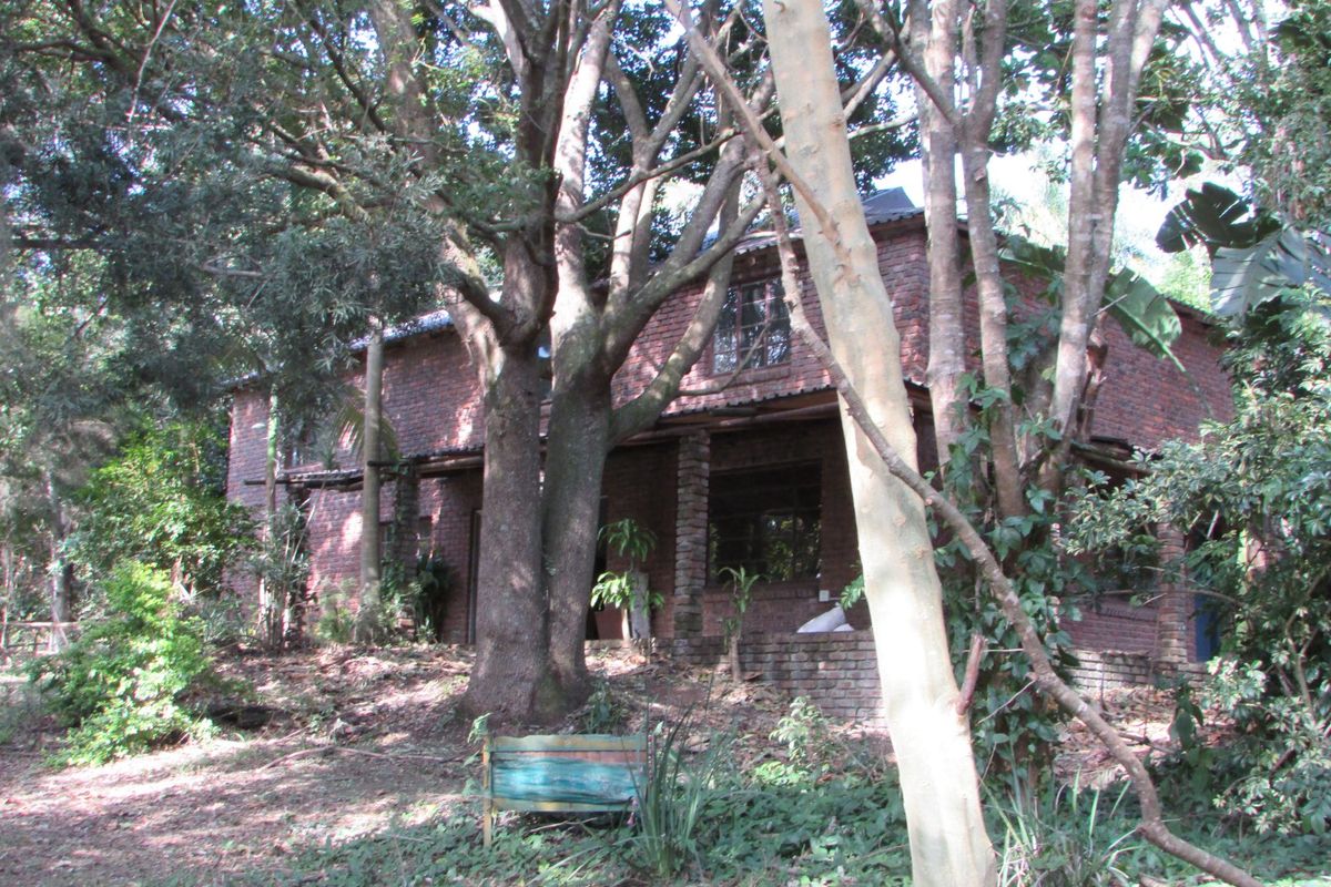 1.8HA FARM ON THE OUTSKIRTS OF WHITE RIVER - Photo 2