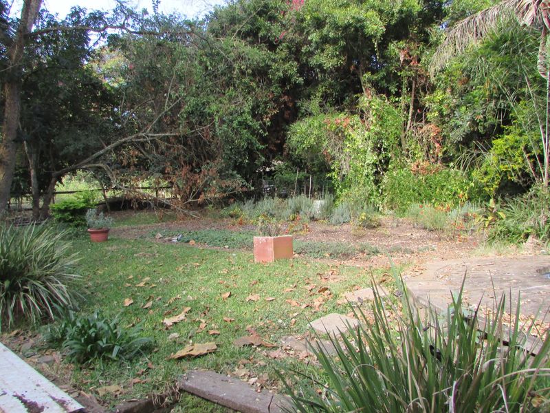 1.8HA FARM ON THE OUTSKIRTS OF WHITE RIVER - Photo 9