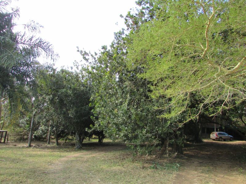 1.8HA FARM ON THE OUTSKIRTS OF WHITE RIVER - Photo 8