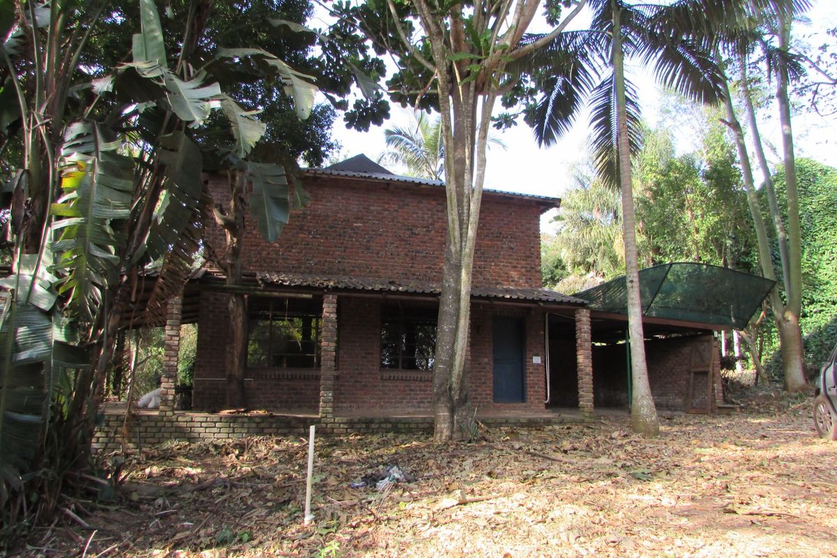 1.8HA FARM ON THE OUTSKIRTS OF WHITE RIVER - Photo 3