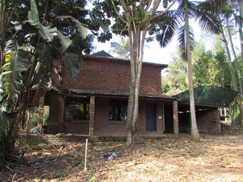 1.8HA FARM ON THE OUTSKIRTS OF WHITE RIVER - Photo 3