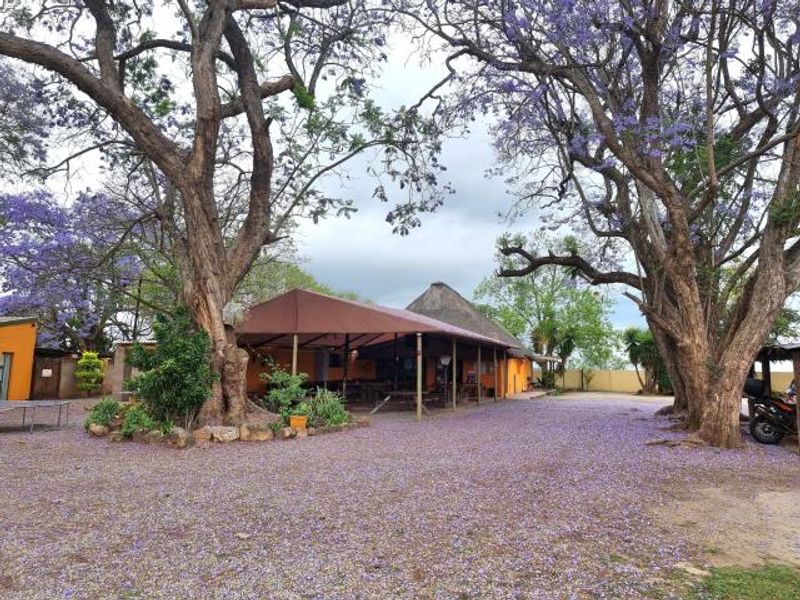 Lodge with Guest Facilities & Arable Land  - Photo 10