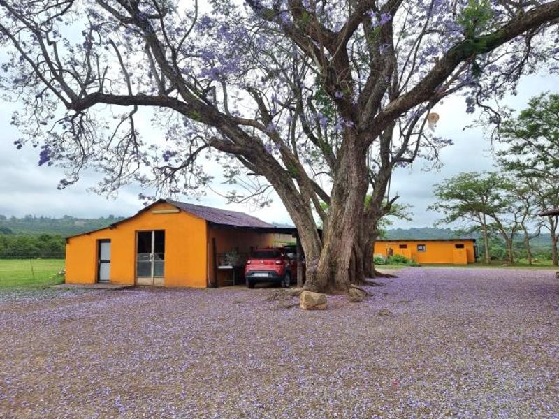 Lodge with Guest Facilities & Arable Land  - Photo 7