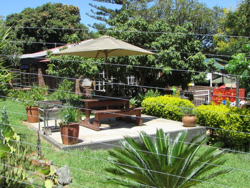 Prime Location – Versatile Property with Commercial Potential - Photo 9