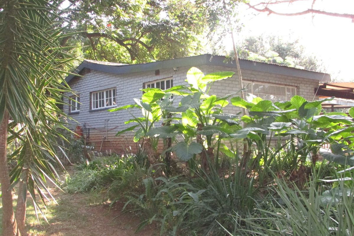 8.8Ha Farm for Sale – Prime Location in White River - Photo 5