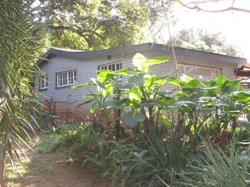 8.8Ha Farm for Sale – Prime Location in White River - Photo 5