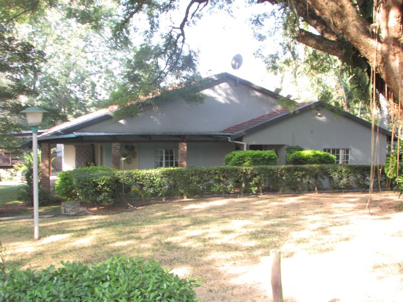 8.8Ha Farm for Sale – Prime Location in White River - Photo 4