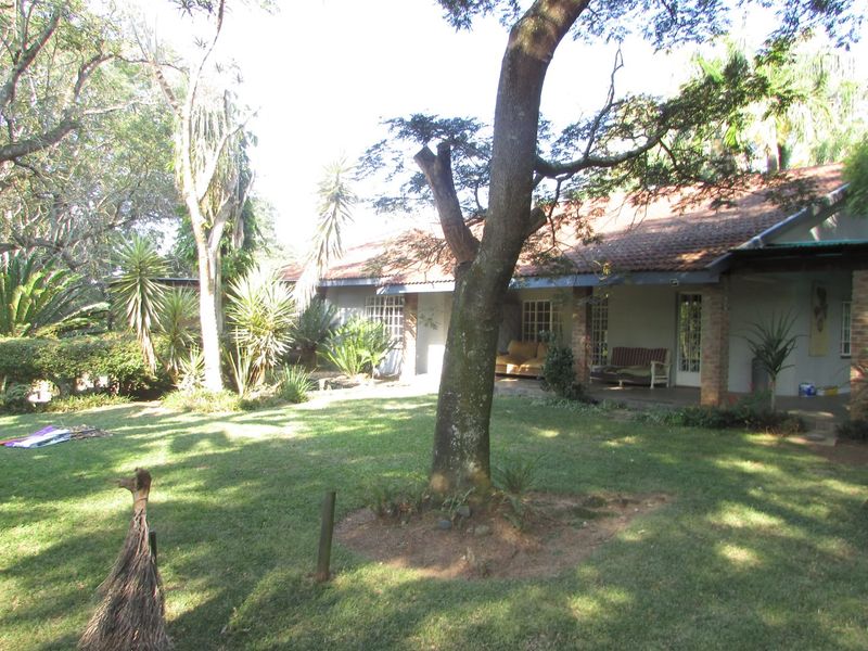 8.8Ha Farm for Sale – Prime Location in White River - Photo 6