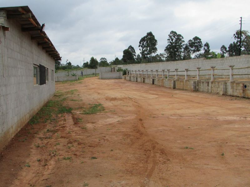 Fantasic Business and Investment Opportunity! - Photo 10