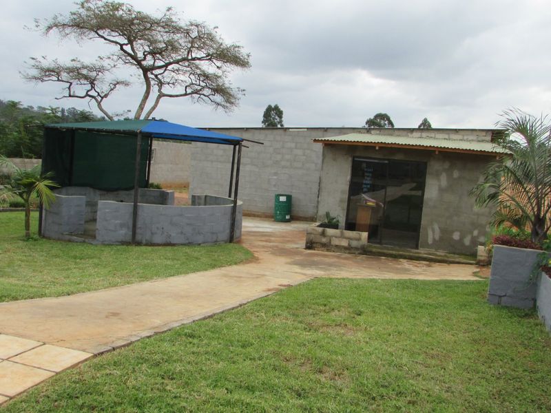 Fantasic Business and Investment Opportunity! - Photo 9