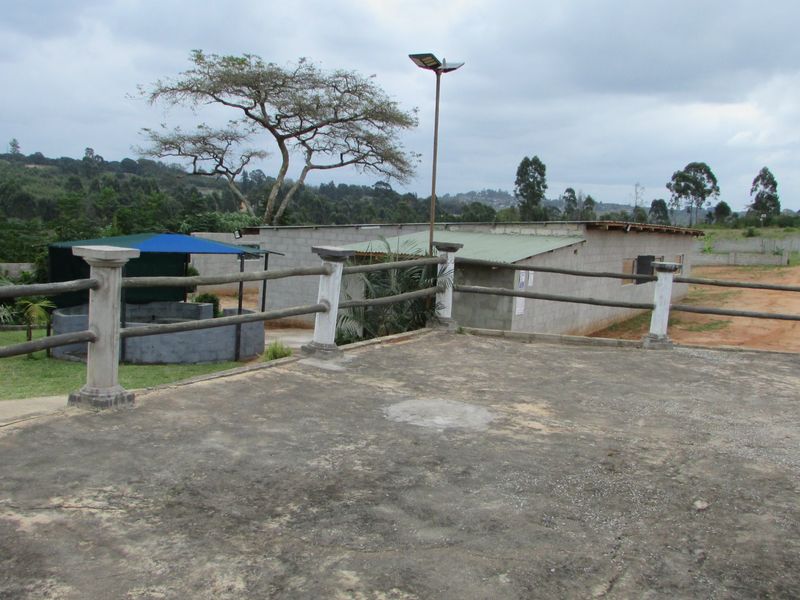 Fantasic Business and Investment Opportunity! - Photo 8