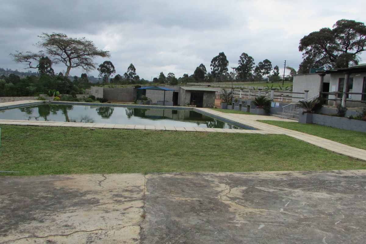 Fantasic Business and Investment Opportunity! - Photo 4