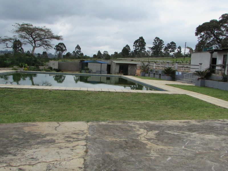 Fantasic Business and Investment Opportunity! - Photo 4