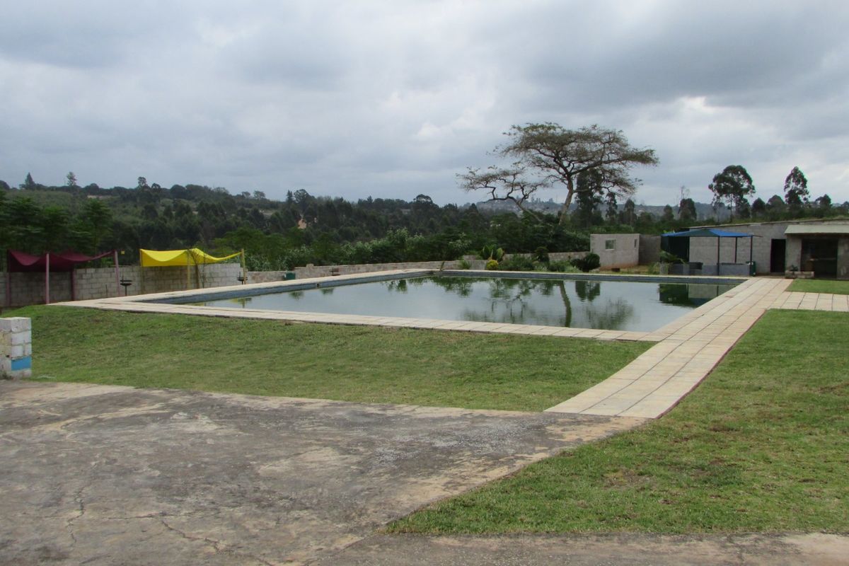 Fantasic Business and Investment Opportunity! - Photo 5