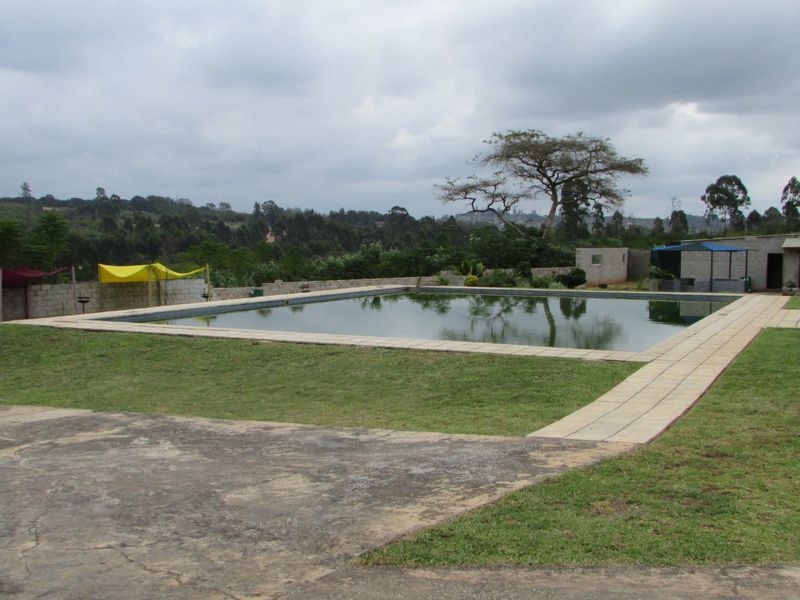 Fantasic Business and Investment Opportunity! - Photo 5