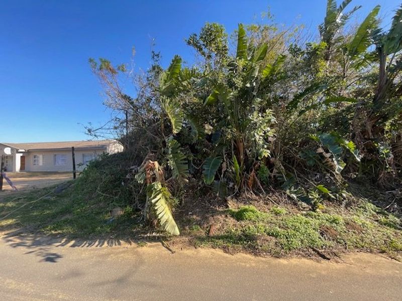 A view of a vacant residential plot featuring dense, overgrown vegetation and mature trees, situated adjacent to an existing residential property.