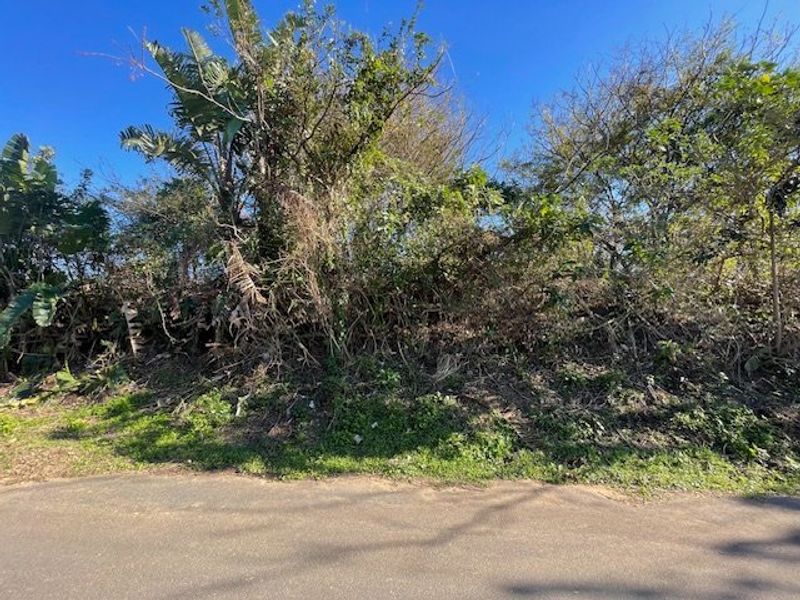 A view of an undeveloped residential plot featuring dense, overgrown vegetation and natural terrain, accessible from the adjacent paved road.